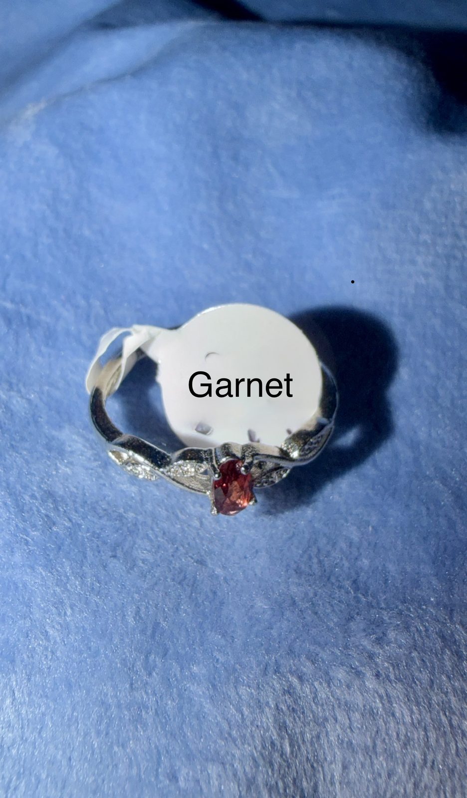 Garnet Adjustable Ring